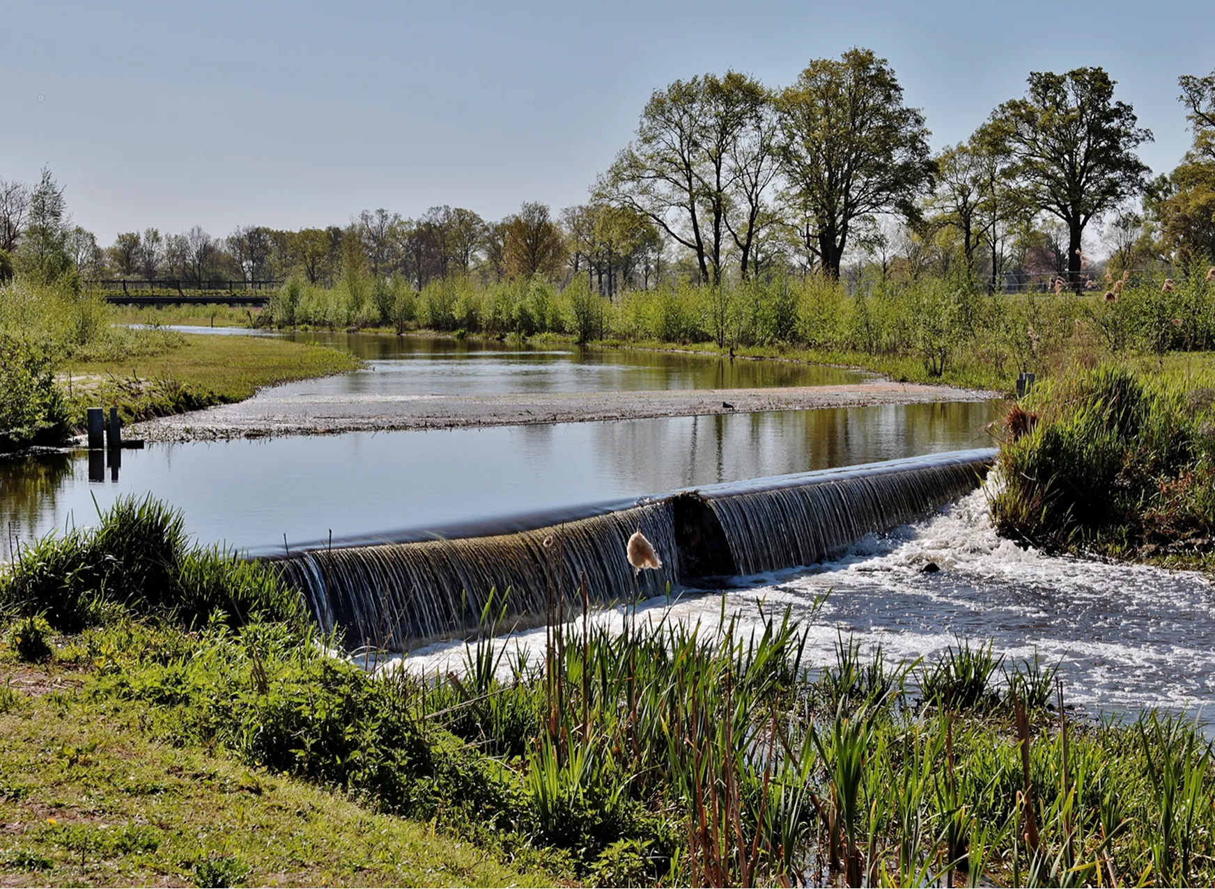 Pond Works for Agriculture